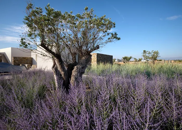 Rojo Vila Santa Maria (Paros)