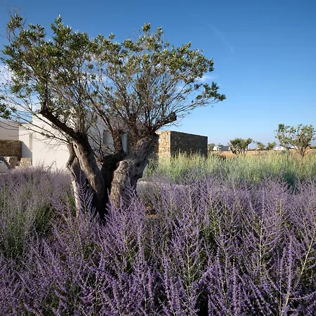 Rojo ヴィラ サンタ・マリア